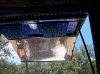 Picture-or-Video-571.gif (232129 bytes)