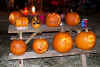 all pumpkins.jpg (83987 bytes)