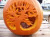 dustin;s pumpkin.jpg (105601 bytes)
