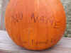 jr. pumpkin.jpg (78461 bytes)